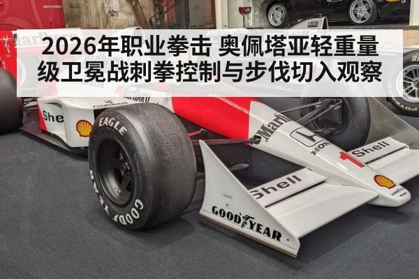 2026年职业拳击 奥佩塔亚轻重量级卫冕战刺拳控制与步伐切入观察