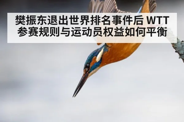 樊振东退出世界排名事件后 WTT参赛规则与运动员权益如何平衡